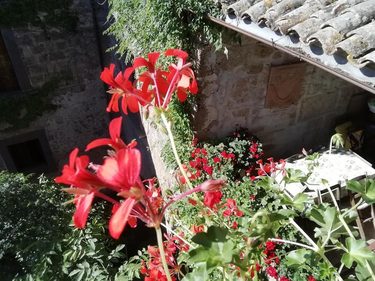 Gerani Rossi Bagnoregio Exterior foto