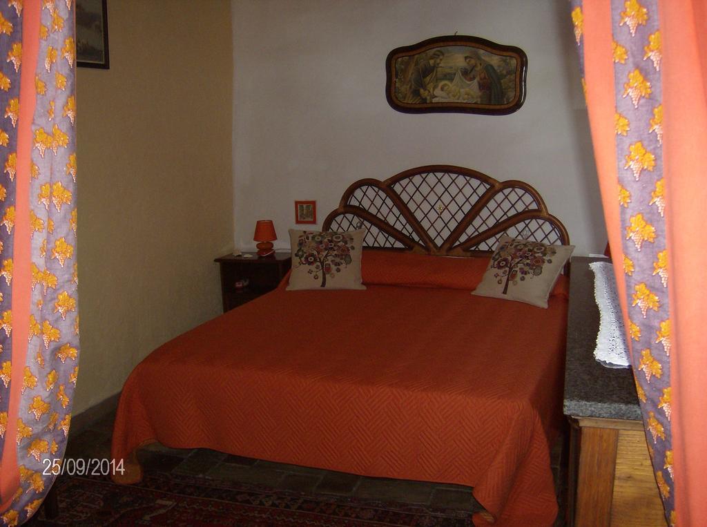 Gerani Rossi Bagnoregio Quarto foto