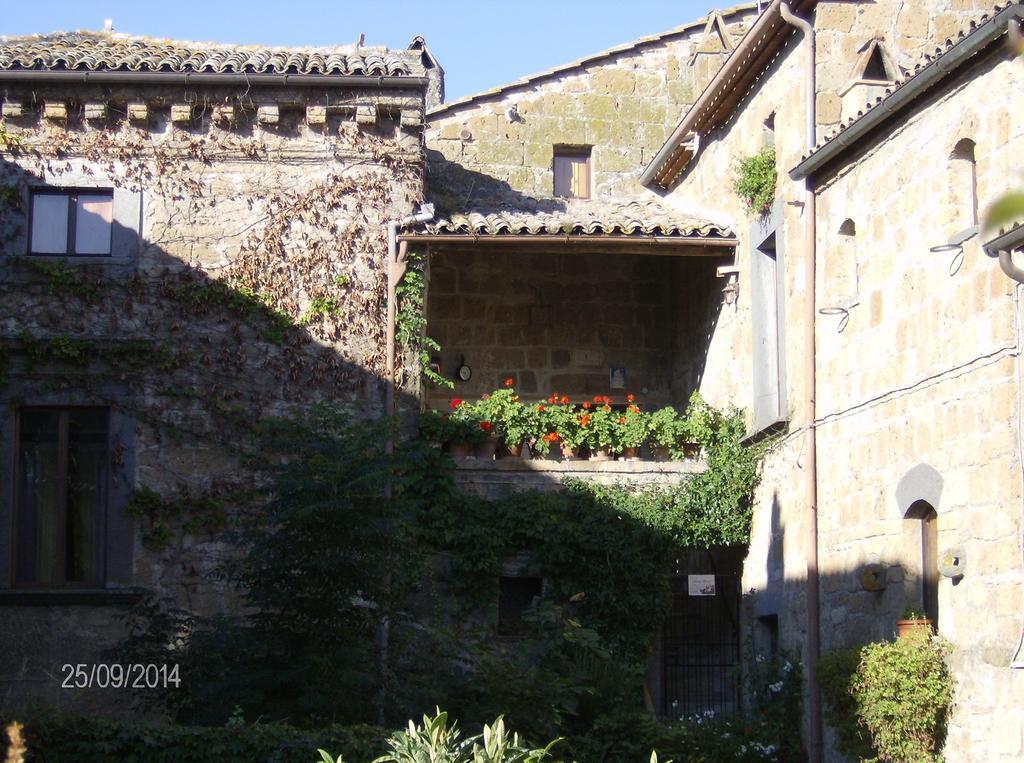 Gerani Rossi Bagnoregio Quarto foto